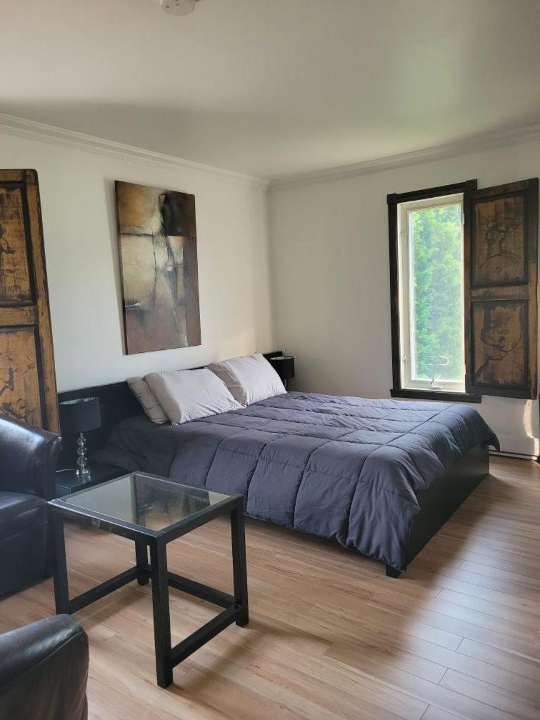 Le Petit Manoir Spa Et Vue Sur Riviere St Maurice Grandes Piles Bagian luar foto